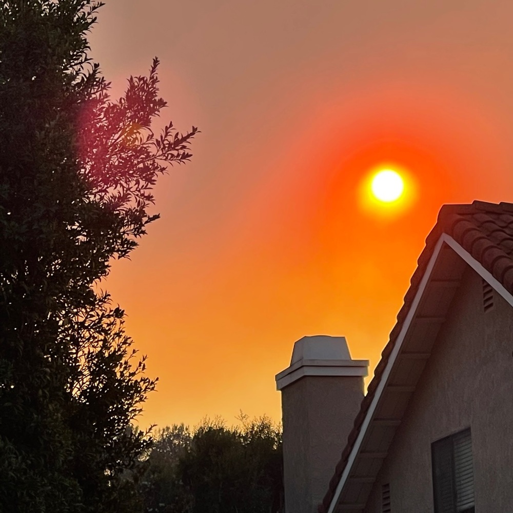 Meet your Posher, Miku